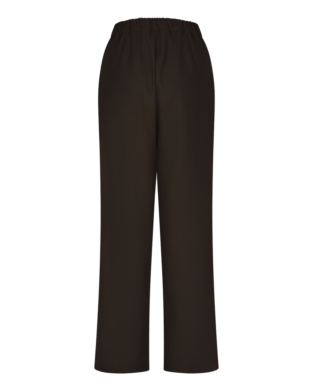 Pleated Wide-Leg Trousers in Chocolate Brown — back