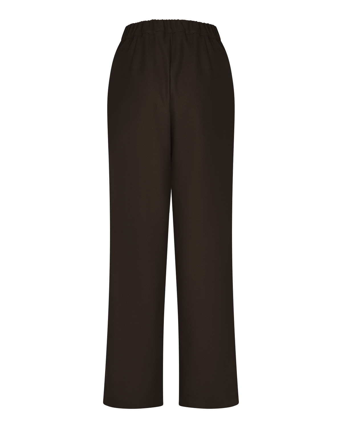 Pleated Wide-Leg Trousers in Chocolate Brown — back