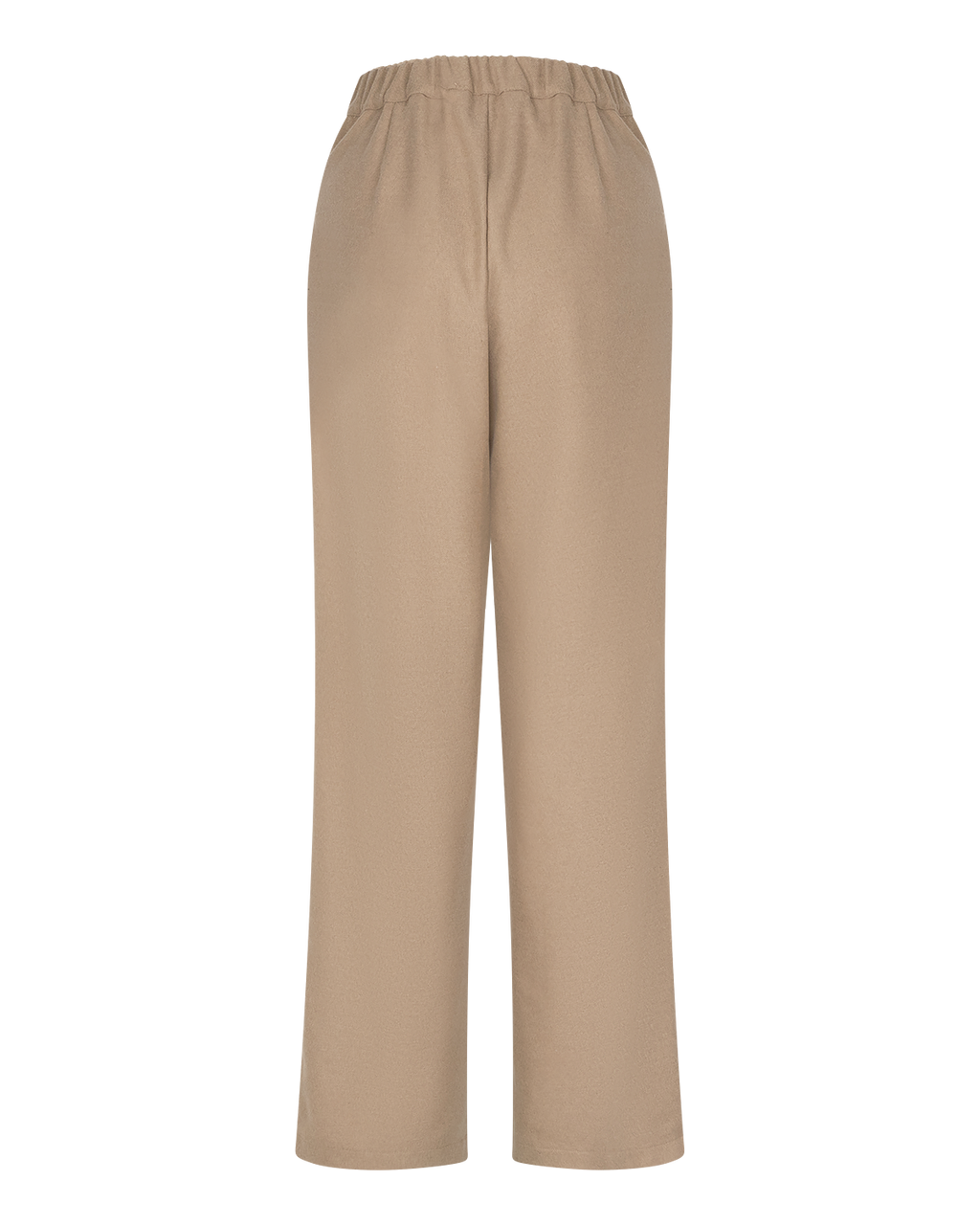 Pleated Wide-Leg Trousers in Beige — back