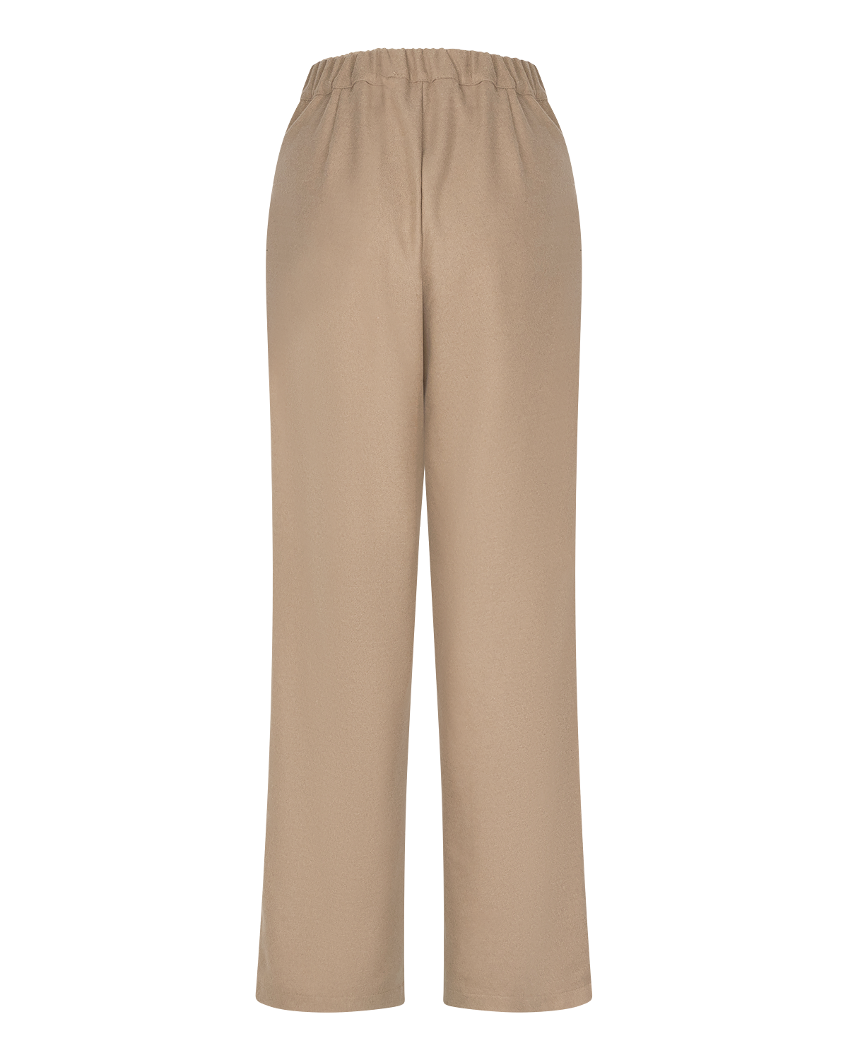 Pleated Wide-Leg Trousers in Beige — back